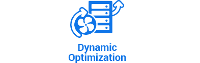 Dynamic Optimization