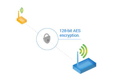 Wireless network with encryption
