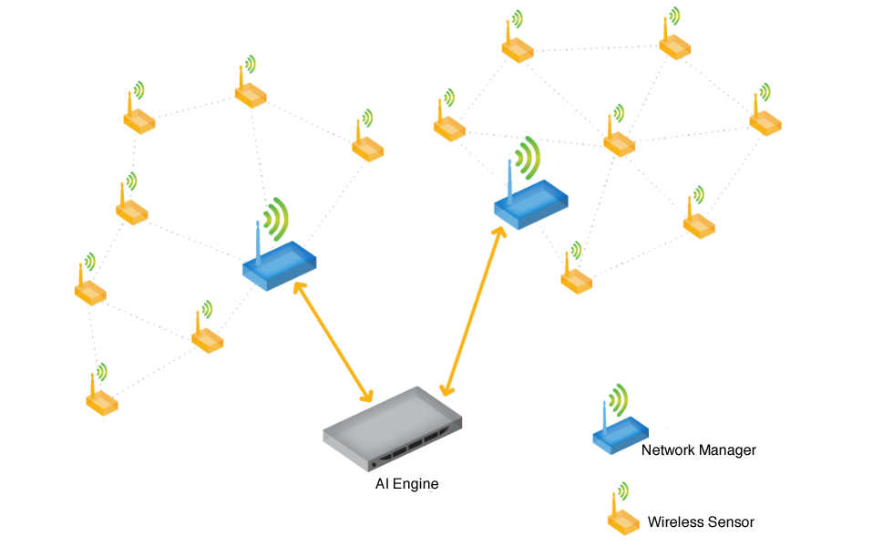 wireless network